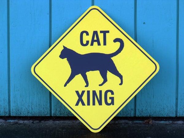 /img/catxng-alt.jpg