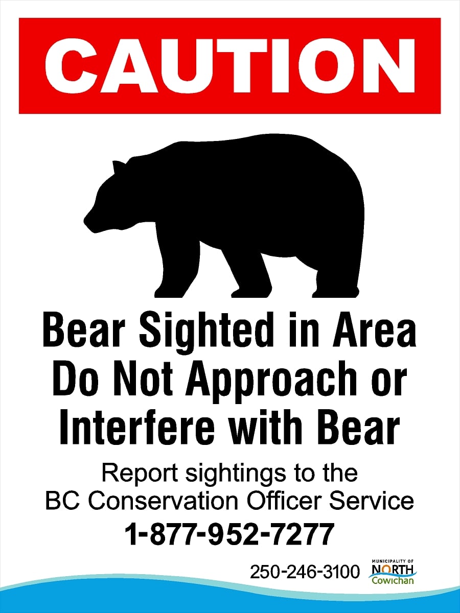 /img/mnc-bear-sightings.jpg