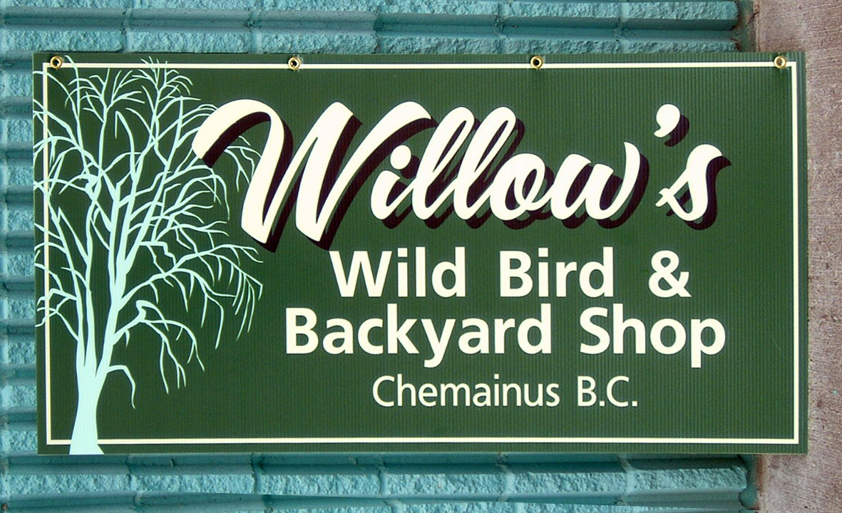 /img/willows.jpg