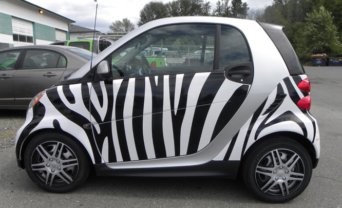/img/zebra-smart-car-alt.jpg